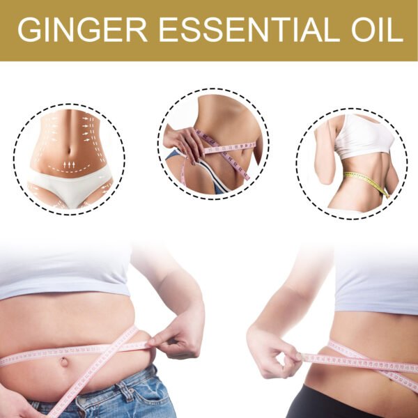 EELHOE Ginger Body Shaping Essential Oil Massage Tightens Belly, Thighs, Muscles, Shapes and Moisturizes Skin Body Beauty Essential Oil - Image 10